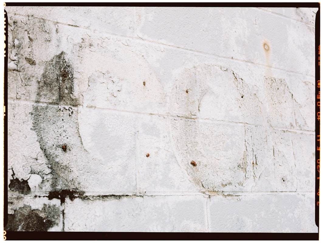 Mold Remediation service in Bloomington, IN